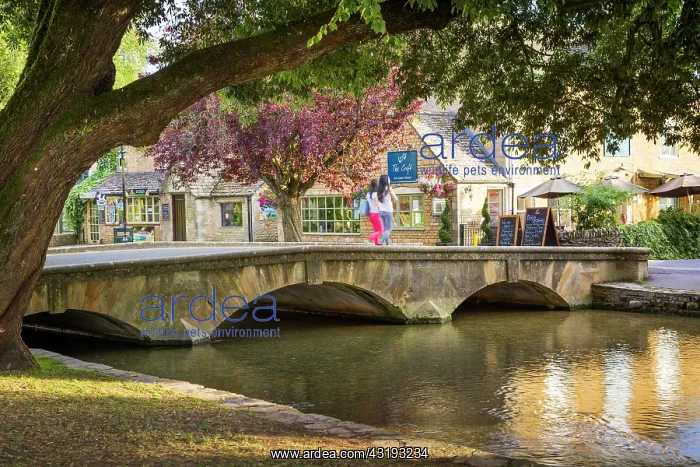 : Evening at Bourton-on-the-Water, the Cotswolds : Evening at Bourton-on-the-Water, the Cotswolds