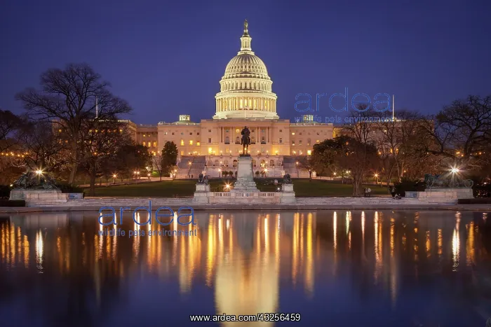 : Evening below the US Capitol Building, Washington : Evening below the US Capitol Building, Washington