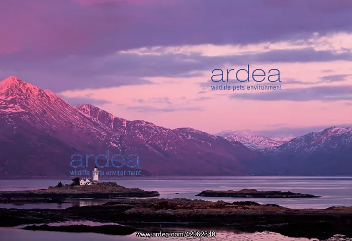  : Evening glow over the lighthouse on the Isle of Ornsay
