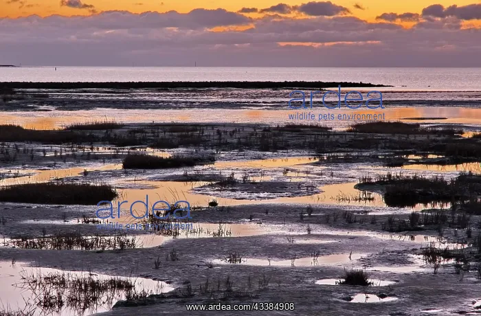 : Evening landscape shortly after sunset with draining : Evening landscape shortly after sunset with draining