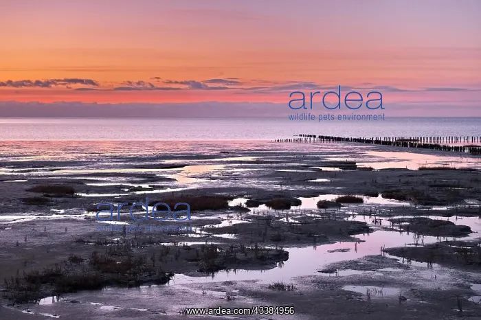 : Evening landscape shortly after sunset with draining : Evening landscape shortly after sunset with draining