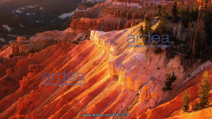 : Evening light on Cedar Breaks, Cedar Breaks National : Evening light on Cedar Breaks, Cedar Breaks National