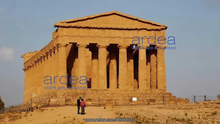 : Evening light, Concordia temple, 2 visitors, fro : Evening light, Concordia temple, 2 visitors, fro