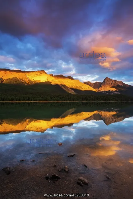 : Evening light on Maligne Lake and Sampson Peak : Evening light on Maligne Lake and Sampson Peak