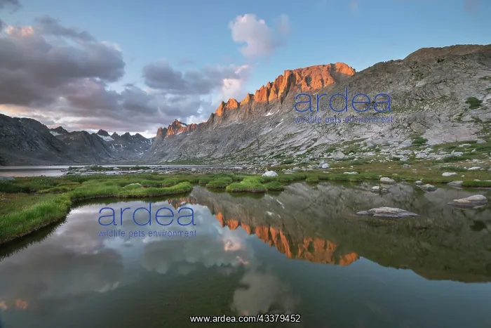 : Evening light over Titcomb Basin, Bridger Wilderness : Evening light over Titcomb Basin, Bridger Wilderness