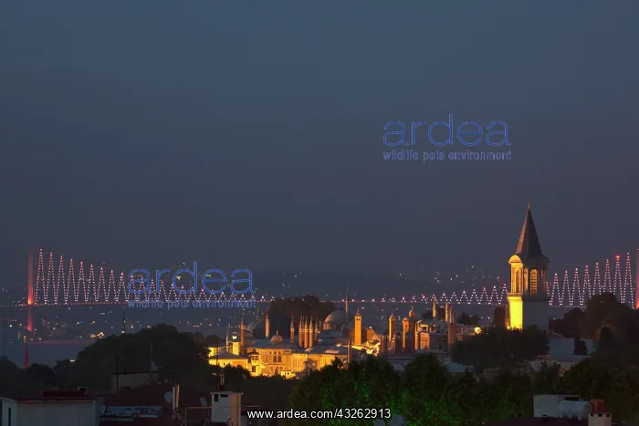 : Evening light over Topkapi Palace and the : Evening light over Topkapi Palace and the