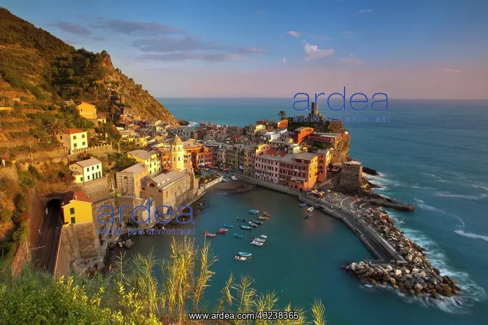 : Evening light over Vernazza, part of the : Evening light over Vernazza, part of the