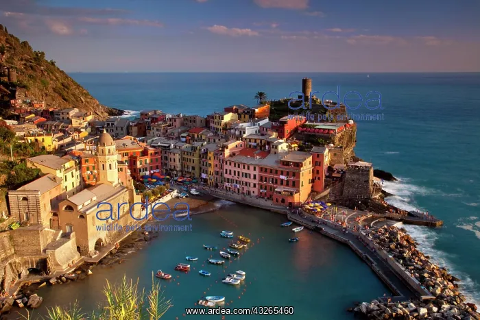 : Evening light over Vernazza, part of the : Evening light over Vernazza, part of the