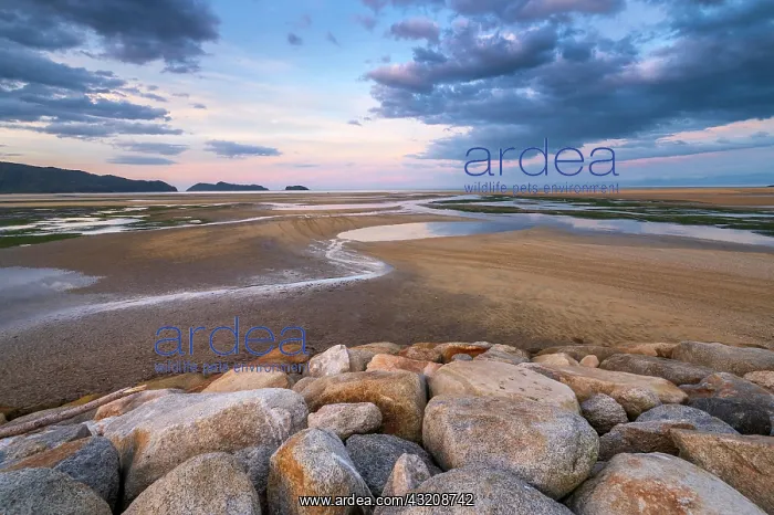 : Evening mood at low tide, sand formations on the : Evening mood at low tide, sand formations on the
