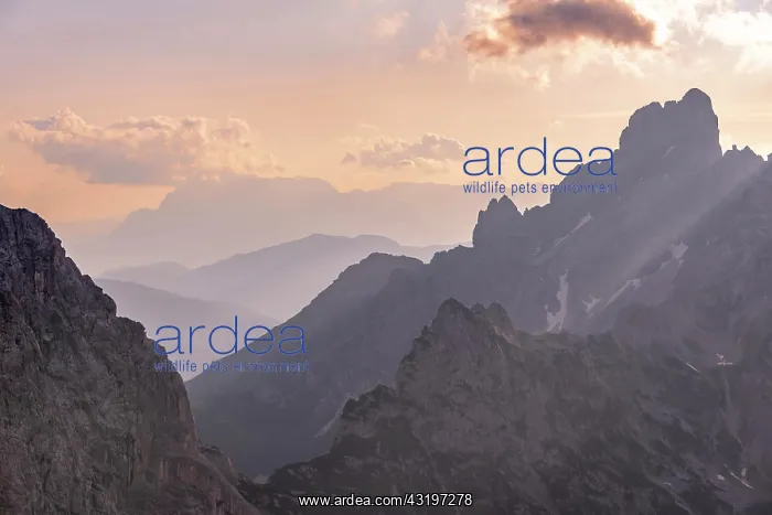 : Evening mood, mountains, mountain silhouette, bishop's : Evening mood, mountains, mountain silhouette, bishop's