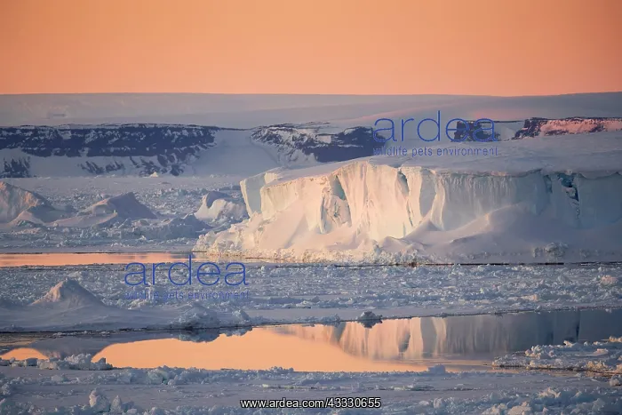 : Evening mood in the sea ice with iceberg and reflection : Evening mood in the sea ice with iceberg and reflection
