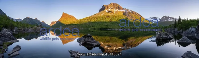 : Evening mood, sunset at the lake Innerdalsvatna : Evening mood, sunset at the lake Innerdalsvatna