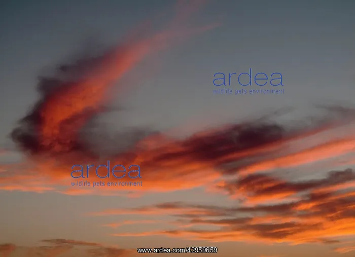 : Evening sky at Tan Tan Plage at the shore of the : Evening sky at Tan Tan Plage at the shore of the