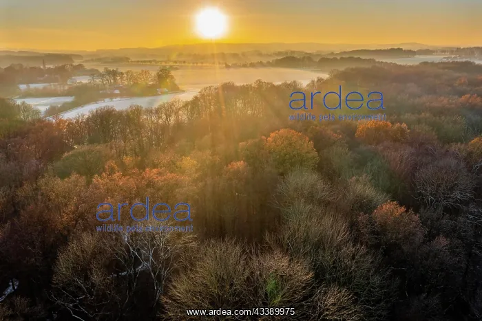 : Evening sun over autumn forest in early winter : Evening sun over autumn forest in early winter