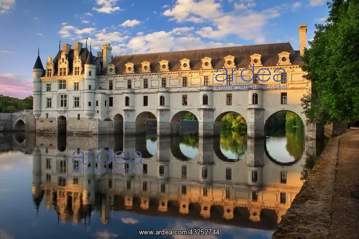 : Evening sunlight on Chateau Chenonceau and : Evening sunlight on Chateau Chenonceau and
