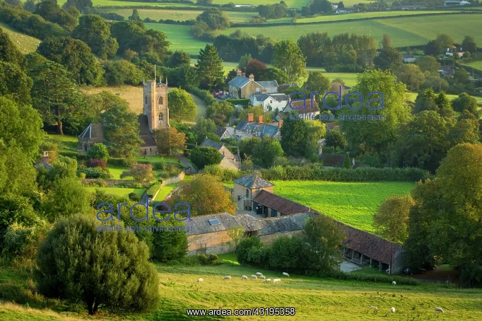 : Evening sunlight over Corton Denham, Somerset, England : Evening sunlight over Corton Denham, Somerset, England
