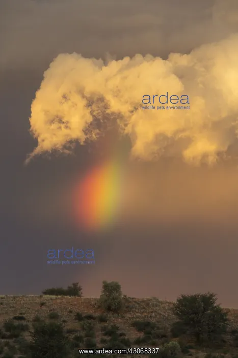 : Evening thunderstorm with Cumulonimbus cloud and : Evening thunderstorm with Cumulonimbus cloud and