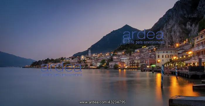: Evening view of Limone along the shores : Evening view of Limone along the shores