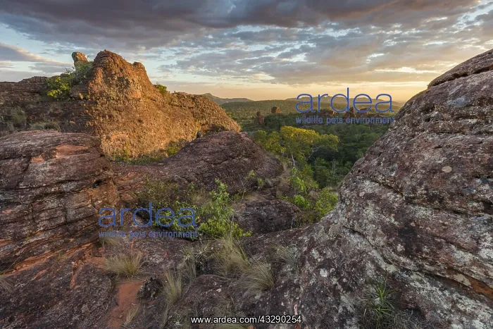 : Eveninglight over the Chapada dos Guimaraes, Br : Eveninglight over the Chapada dos Guimaraes, Br