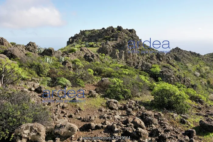 : Evidence of past volcanic activity : Evidence of past volcanic activity