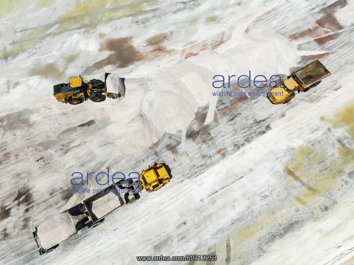 : Excavator and lorries and at a harvesting pan of the Walvis Bay Salt works : Excavator and lorries and at a harvesting pan of the Walvis Bay Salt works