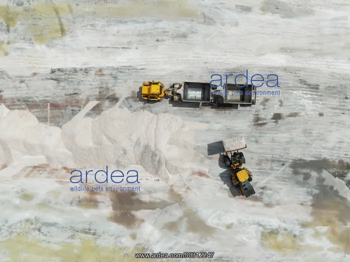 : Excavator and lorry at a harvesting pan of the Walvis Bay Salt works : Excavator and lorry at a harvesting pan of the Walvis Bay Salt works