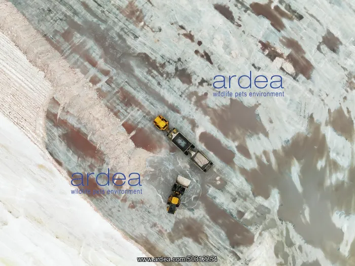 : Excavator and lorry at a harvesting pan of the Walvis Bay Salt works : Excavator and lorry at a harvesting pan of the Walvis Bay Salt works