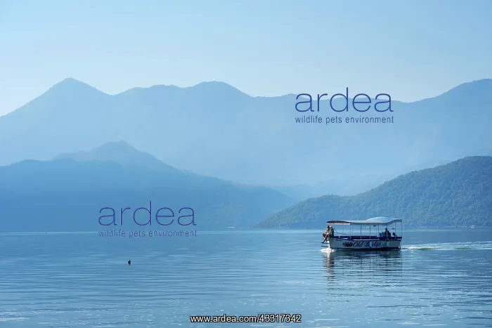  : Excursion boat on Lake Skadar, Lake Skadar National