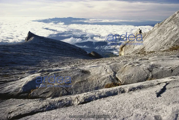 : Exfoliated Granite on Mt. Kinabalu : Exfoliated Granite on Mt. Kinabalu
