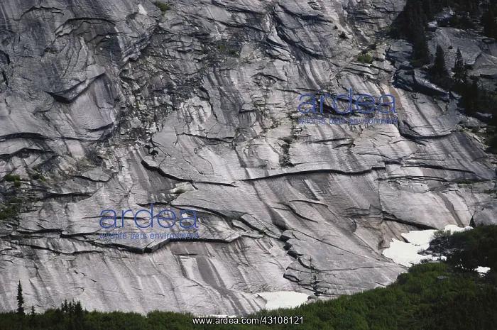 : Exfoliation in Granodiorite : Exfoliation in Granodiorite