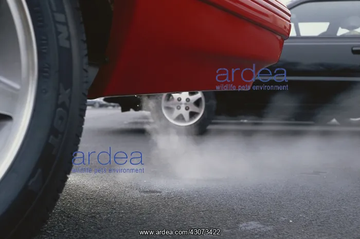: Exhaust Fumes : Exhaust Fumes