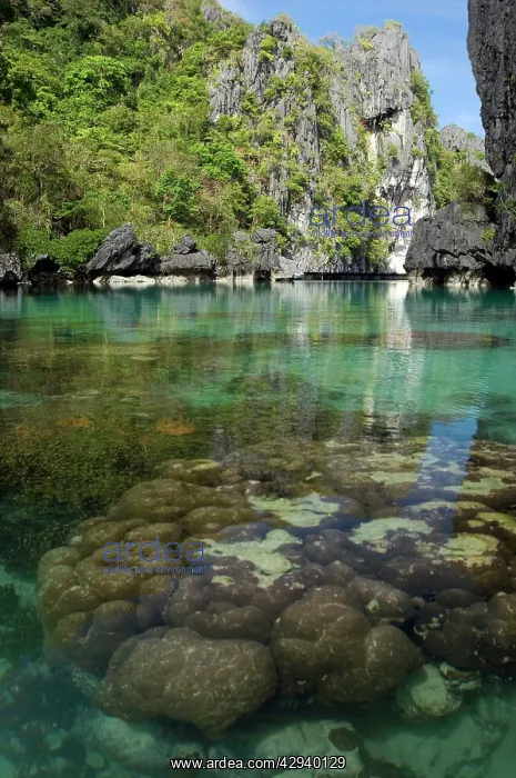 : The exit (between the rocks) of a Big Lagoon of : The exit (between the rocks) of a Big Lagoon of