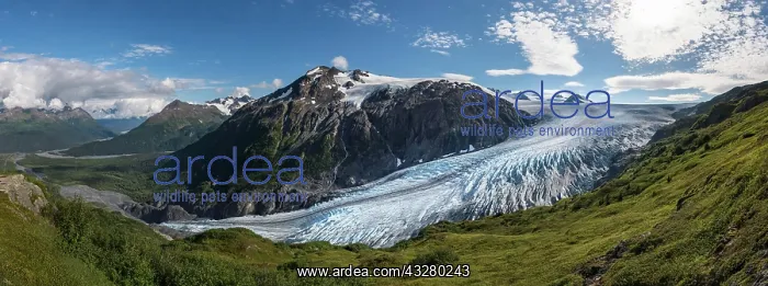 : Exit Glacier and Harding Icefield, Kenai Fjords : Exit Glacier and Harding Icefield, Kenai Fjords