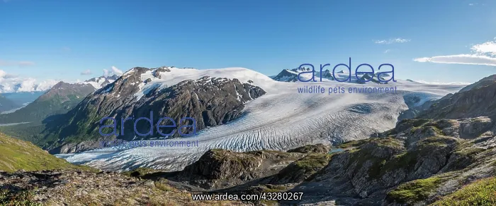 : Exit Glacier and Harding Icefield, Kenai Fjords : Exit Glacier and Harding Icefield, Kenai Fjords