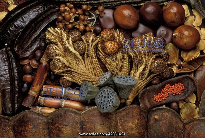  : Exotics products for floral compositions