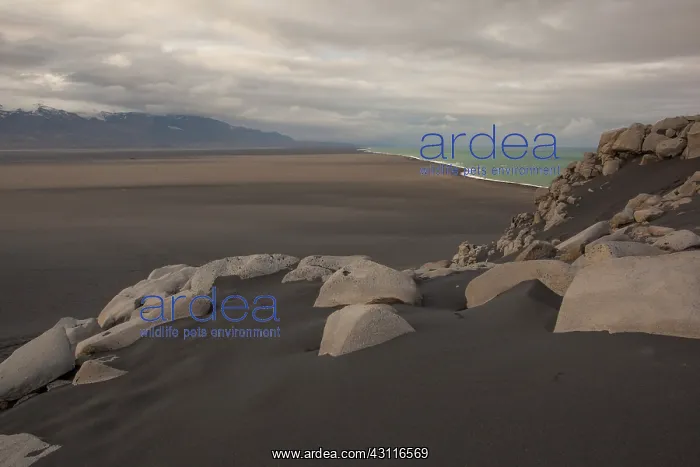  : Expansive black sand beach