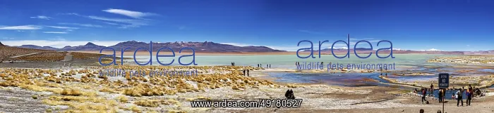 : Expansive view of a desert landscape with lake and mountains under a clear sky : Expansive view of a desert landscape with lake and mountains under a clear sky