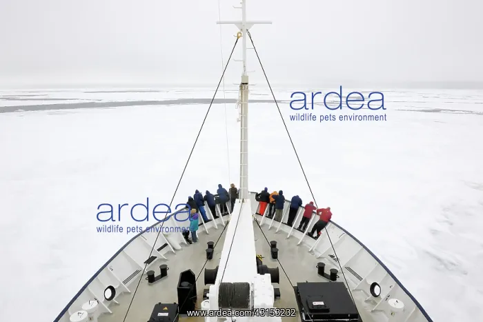 : Expedition ship amidst ice field with people on the bow : Expedition ship amidst ice field with people on the bow