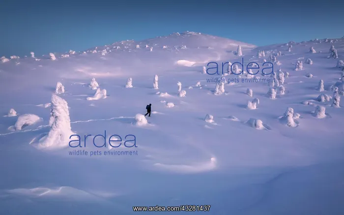 : Exploring real winter wonderland. Mount Kandalaksha : Exploring real winter wonderland. Mount Kandalaksha