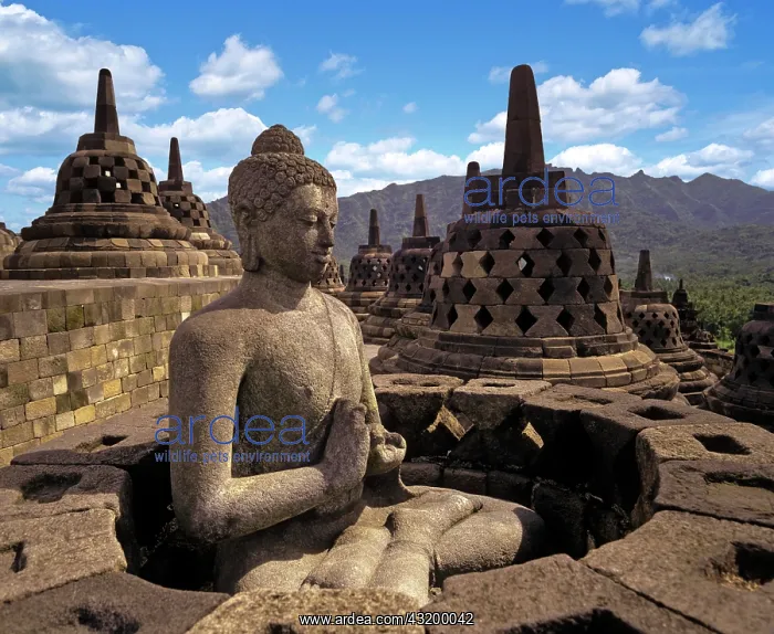 : Exposed Buddha statue in the temple complex of Borobudur : Exposed Buddha statue in the temple complex of Borobudur