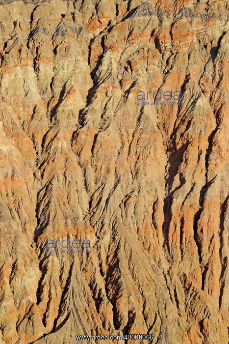 : Exposed fissured bedrock of reddish orange coloured : Exposed fissured bedrock of reddish orange coloured
