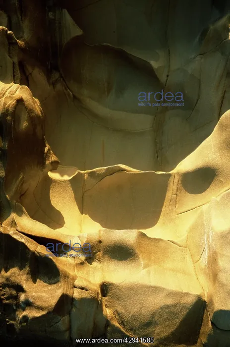 : Exposed Triassic sandstone, north of Bicheno on : Exposed Triassic sandstone, north of Bicheno on