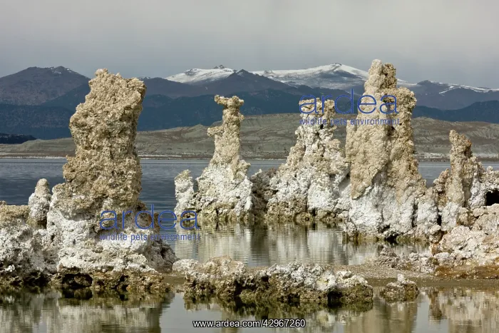 : Exposed tufa pinnacles in Mono Lake, Lee Vining, in winter : Exposed tufa pinnacles in Mono Lake, Lee Vining, in winter