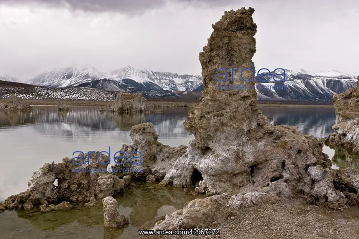: Exposed tufa pinnacles in Mono Lake, Lee Vining, in winter : Exposed tufa pinnacles in Mono Lake, Lee Vining, in winter