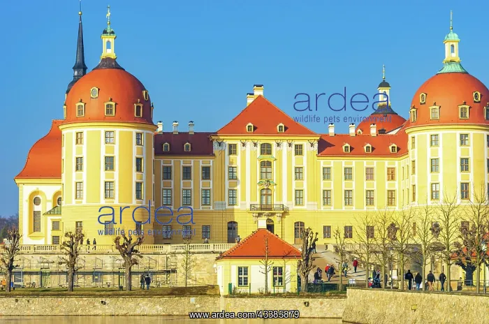 : Exterior view of Moritzburg Castle in winter with : Exterior view of Moritzburg Castle in winter with
