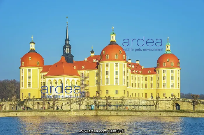 : Exterior view of Moritzburg Castle in winter with : Exterior view of Moritzburg Castle in winter with
