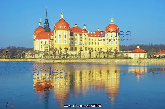 : Exterior view of Moritzburg Castle in winter with : Exterior view of Moritzburg Castle in winter with