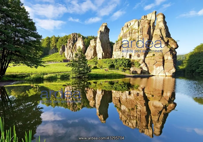 : Extern stones, Externsteine, sandstone formation : Extern stones, Externsteine, sandstone formation