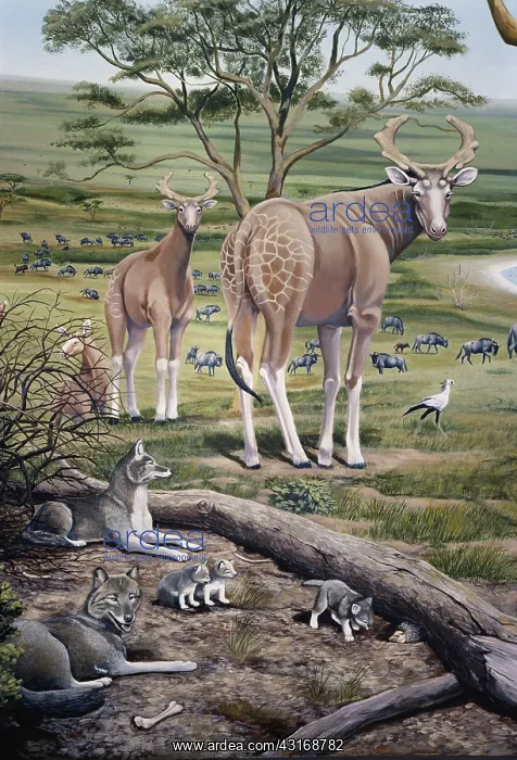 : Extinct African Animals : Extinct African Animals