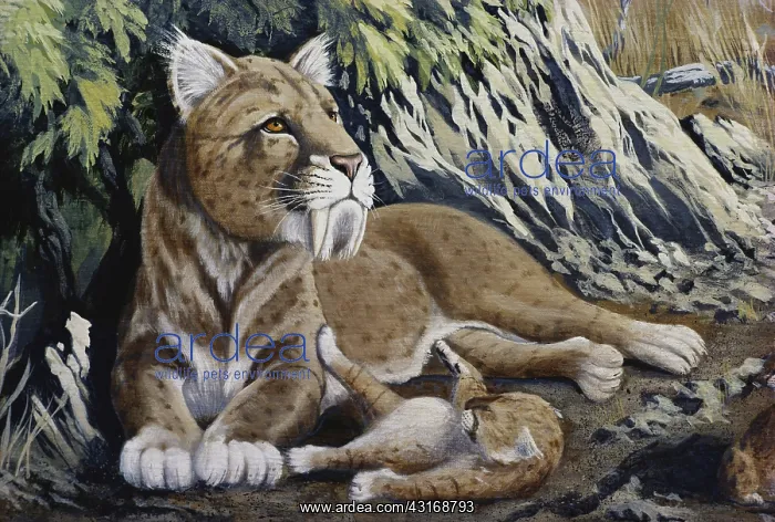 : Extinct African Cat : Extinct African Cat